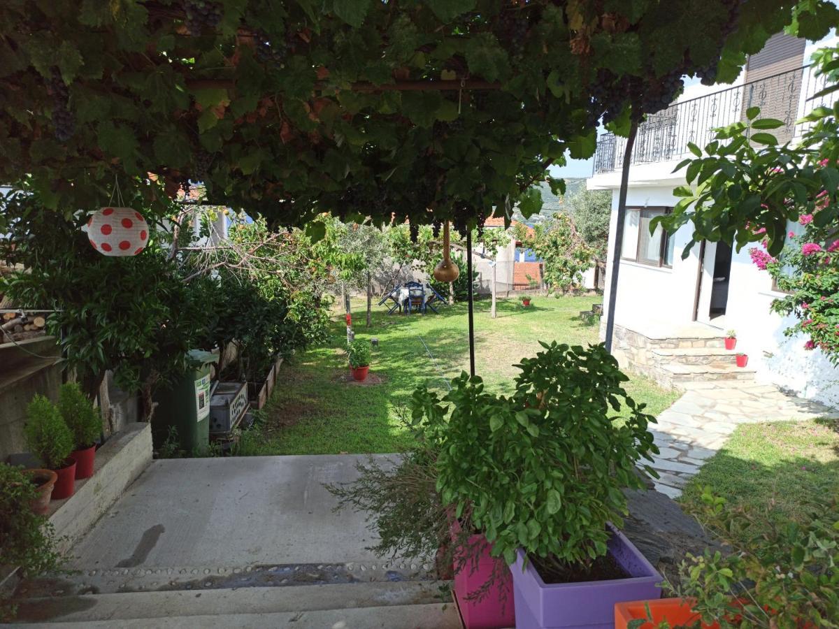 Dora'S House Comfortable Apartment With A Yard And View Pyrgadikia Buitenkant foto