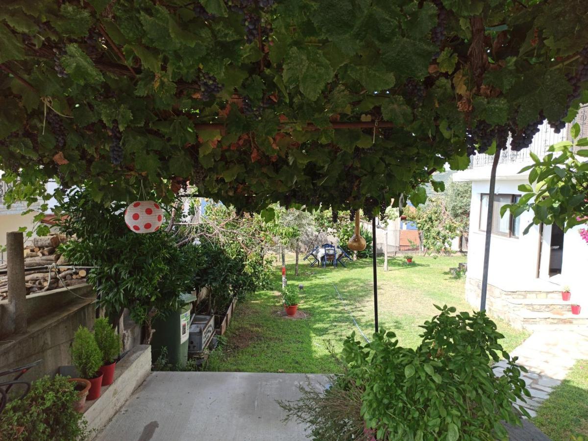 Dora'S House Comfortable Apartment With A Yard And View Pyrgadikia Buitenkant foto